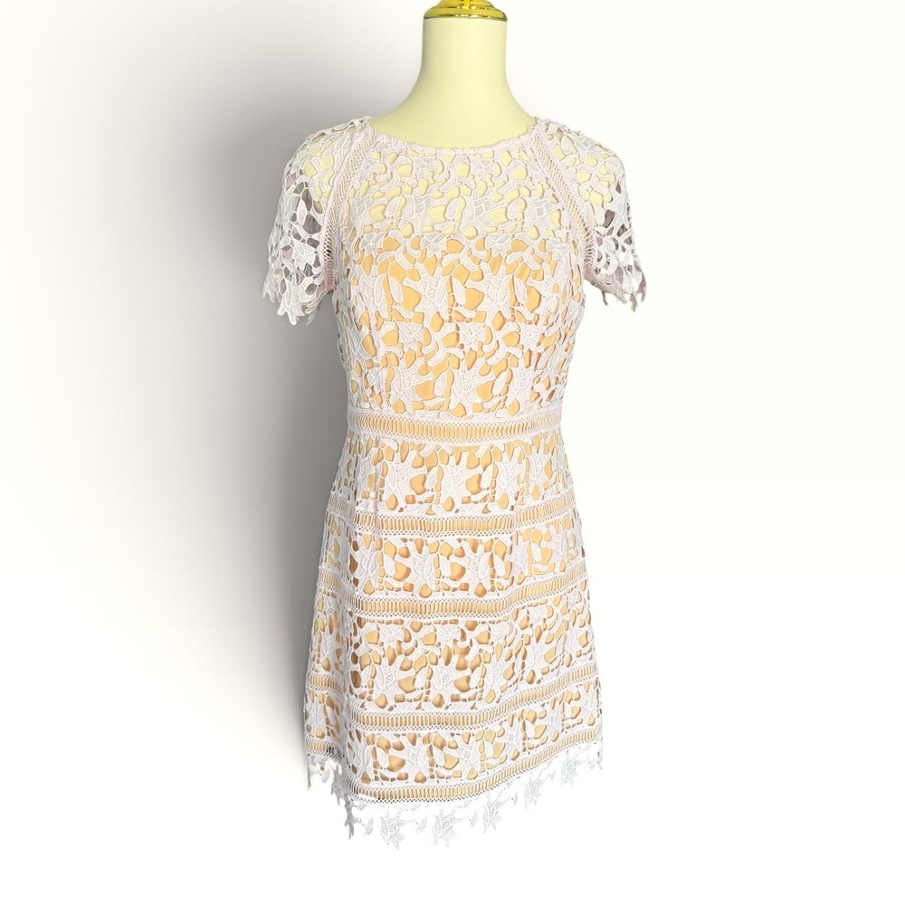 Eliza J 8P Light Lilac Guipure Lace Cocktail Dress Petite Wedding Party
